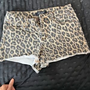 Judy Blue leopard shorts size small